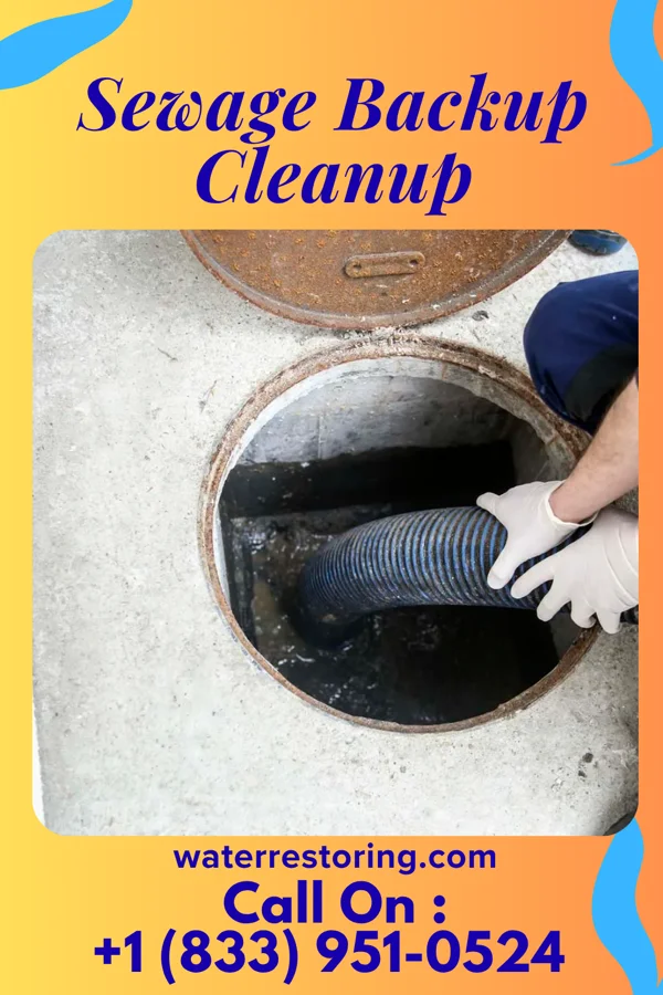 Sewage Backup Cleanup in Salmon Brook, CT