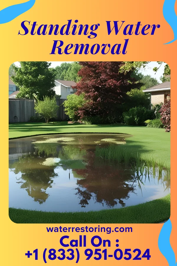 Standing Water Removal in Salmon Brook, CT